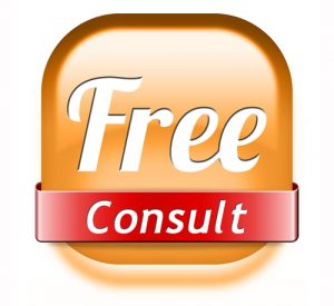 Virtual Assistant in Paradise Free Consult